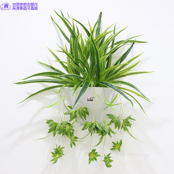 創(chuàng  )意花瓶擺件，讓生活更有情調