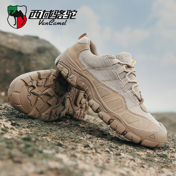 西域駱駝（Van CameL）男士5188卡其-網(wǎng)面 39