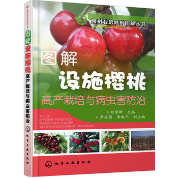 果樹修剪