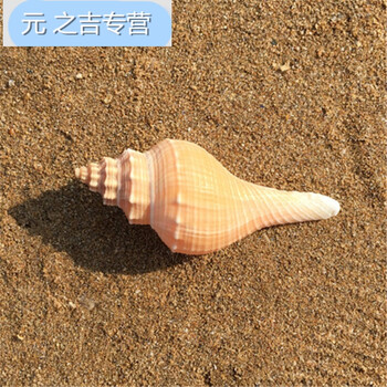 精美塑料擺件，讓生活變得更溫馨