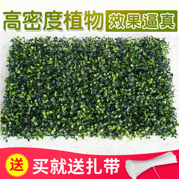 精致創(chuàng  )意花瓶，讓你的家四季如春