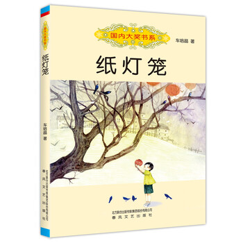 國內(nèi)大獎書系