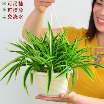 仿真吊篮花