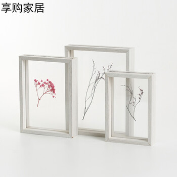 植物標(biāo)本新創(chuàng)意