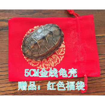 創(chuàng)意精致擺件，讓你的家不再單調(diào)