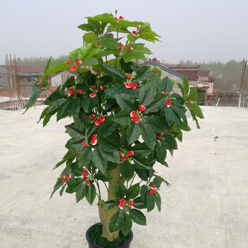 仿真花擺件，讓你的生活更溫馨