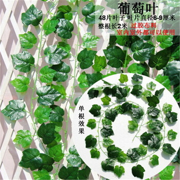 花卉香薰，讓你的家更有情調(diào)
