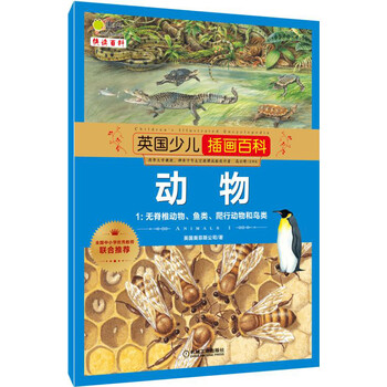 插畫