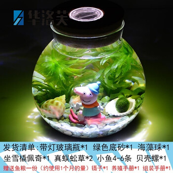 魚下小魚