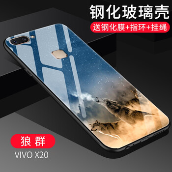 易博（EIBOA） vivox20 手機(jī)殼/保護(hù)套