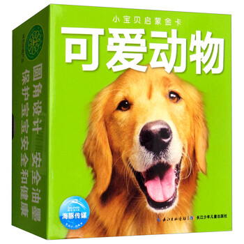 可愛動(dòng)物
