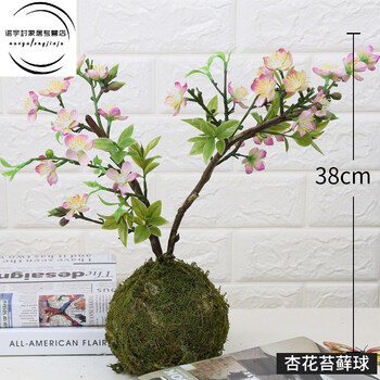 精美復古花瓶，裝點(diǎn)你的田園風(fēng)