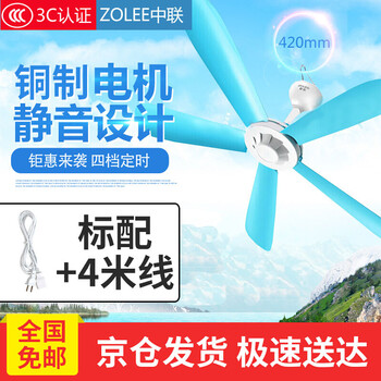 中聯(lián)（ZOLEE） FG11-42D 電風(fēng)扇