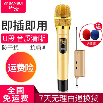 麥克風(fēng)，讓你變身主播電影院