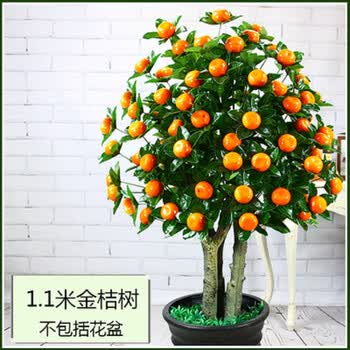 ����,����,ֲ��,����,���а�,�辰,�辰,ֲ��,�Ƽ�
