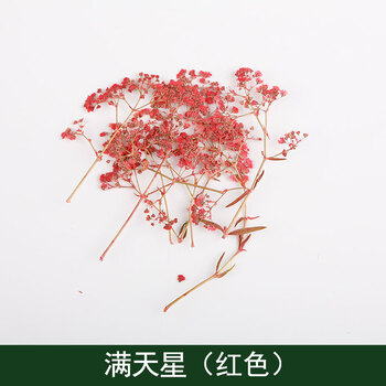北歐風(fēng)花瓶，打造浪漫精致生活