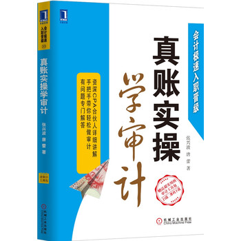 真賬實(shí)操