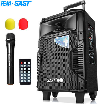 先科（SAST） ST-809W 音箱/音響 ST-809W-強勁大磁鋼8英寸