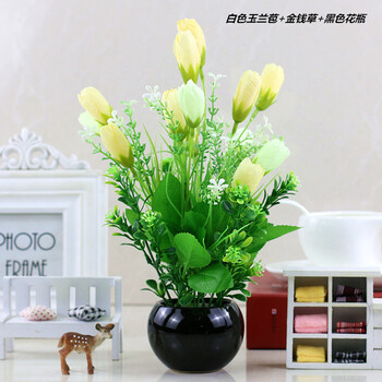 室內(nèi),室內(nèi),排名,花盆,花盆,排行榜,推薦
