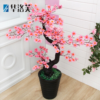 桃花樹下