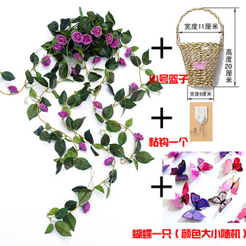 精美生態(tài)花瓶，提升你的獨(dú)特品味