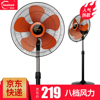8寸地扇