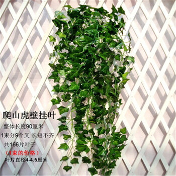 精致玻璃花瓶，打造田園風(fēng)