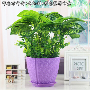 你家，只差一幅創(chuàng)意花瓶！