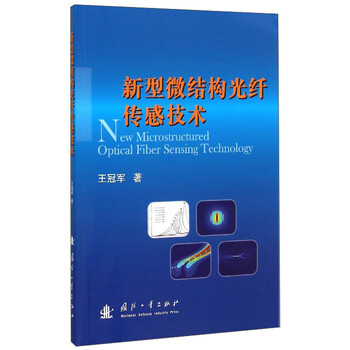光纖傳感技術(shù)