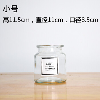 周末插花，只差一個玻璃養(yǎng)生壺