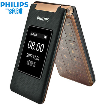 飛利浦（PHILIPS） E212A 手機 金色