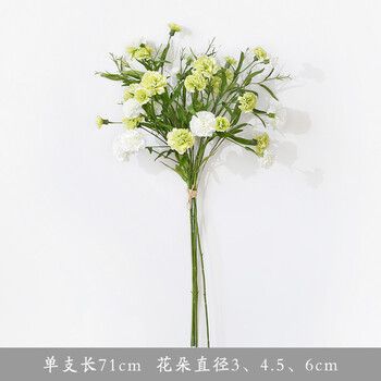 精美創(chuàng)意花瓶，讓生活不再單調！