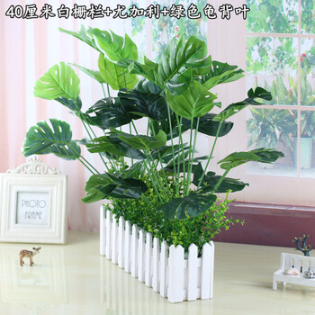 精美創(chuàng)意花瓶，讓生活不再單調！