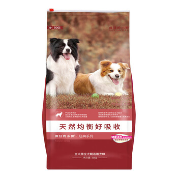 泰迪寵物犬