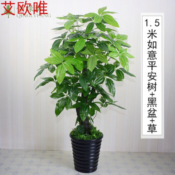 精美田園風(fēng)花瓶，打造浪漫生活