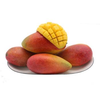 ���ڹ�����â