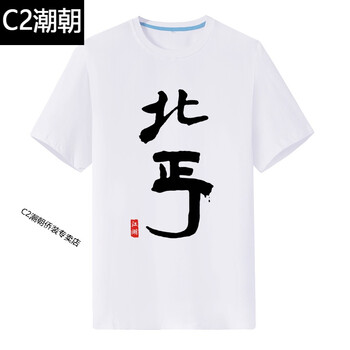 C2潮朝（CHAOCHAO） 短袖 男士T恤 白色北丐 