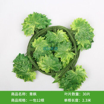 創(chuàng)意玻璃花瓶，打造精致田園風(fēng)