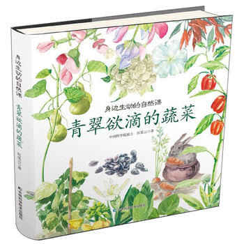蔬菜