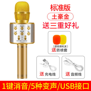 金運(yùn)  手持 麥克風(fēng) 土豪金+防噴麥套+音頻線(xiàn)（2019新款中文版）