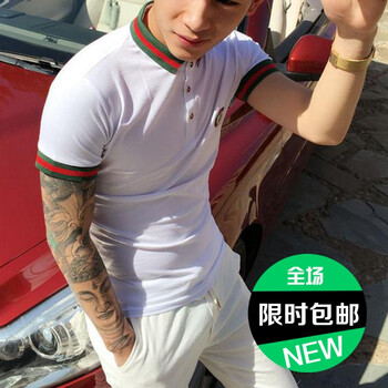 普戈斯（PUGESI） 短袖 男士T恤 盾牌POLO白色 S，XL，L，XXL，M，XXXL
