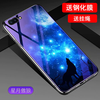 羅璐鷗 oppo R11 手機(jī)殼/保護(hù)套