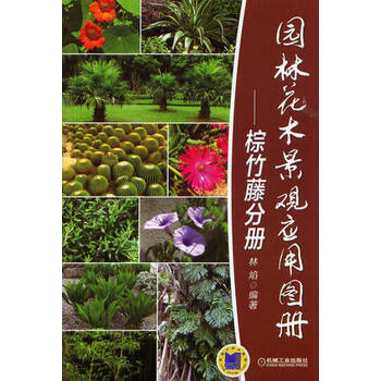 園林景觀