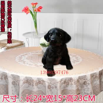 ��ô��,��������ģ��,��������ģ��