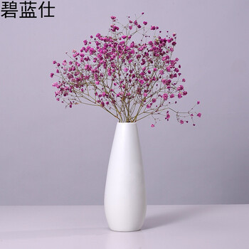 簡(jiǎn)約創(chuàng)意花瓶，裝點(diǎn)你的藝術(shù)生活