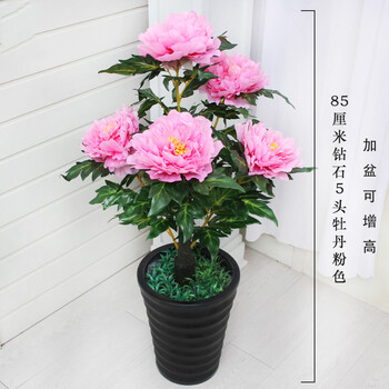 精致生態(tài)花架，打造浪漫田園風