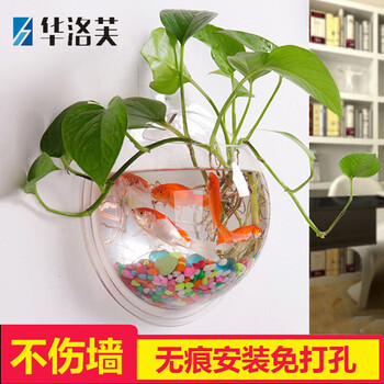 玻璃花瓶，讓你的生活煥然一新