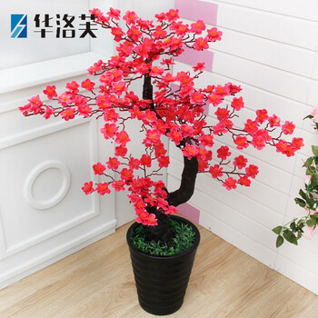 桃花樹下