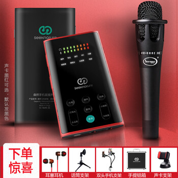 森然（Seeknature）  手持 麥克風(fēng) 播吧II電音版+E300 手持麥套裝