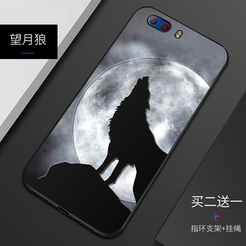 江南玫瑰